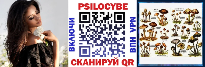 Псилоцибиновые грибы прущие грибы  Холм 